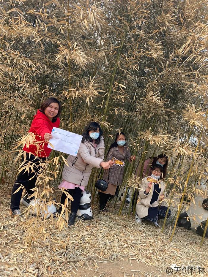 天创科林3月8日女神节活动